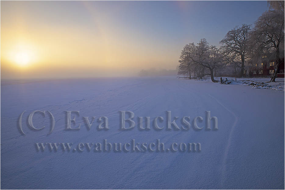 Foto Eva Bucksch